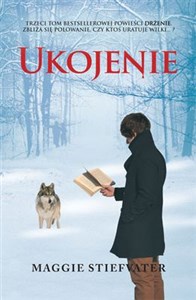 Bild von Ukojenie