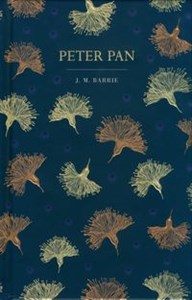 Bild von Peter Pan