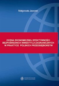 Obrazek Ocena ekonomicznej efektywności bezpośrednich inwestycji zagranicznych w praktyce polskich przedsiębiorstw