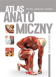 Obrazek Atlas anatomiczny człowieka