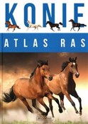Konie Atla... - Katarzyna Piechocka -  polnische Bücher