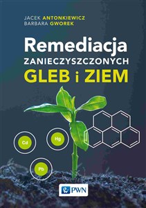 Obrazek Remediacja zanieczyszczonych gleb i ziem