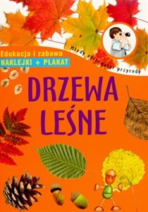 Obrazek Drzewa leśne