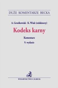 Bild von Kodeks karny. Komentarz