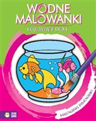 Polnische buch : Kolorowy d... - Opracowanie Zbiorowe