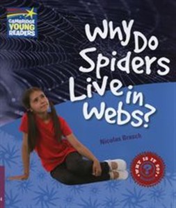 Bild von Why Do Spiders Live in Webs? Level 4 Factbook