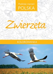 Bild von Podróże marzeń Polska Zwierzęta Kolorowanka