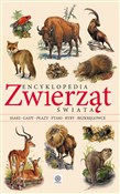 Encykloped... - Opracowanie Zbiorowe - buch auf polnisch 