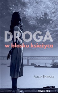 Bild von Droga w blasku księżyca