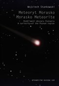 Meteoryt M... - Wojciech Stankowski -  Polnische Buchandlung 