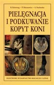 Polnische buch : Pielęgnacj... - Ryszard Kolstrung, Piotr Silmanowicz, Anna Stachurska