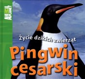 Pingwin ce... - Meredith Costain - buch auf polnisch 