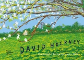 David Hock... - David Hockney, William Boyd, Edith Devaney - buch auf polnisch 