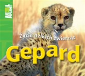 Gepard Życ... - Meredith Costain - Ksiegarnia w niemczech