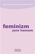 Feminizm - June Hannam -  fremdsprachige bücher polnisch 