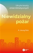 Zobacz : Niewidzial... - R. Jisung Park