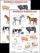 Plansza Zw... -  Polnische Buchandlung 