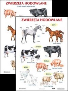 Obrazek Plansza Zwierzęta hodowlane