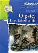 Polnische buch : O psie, kt... - Roman Pisarski