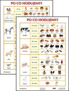 Bild von Plansza Po co hodujemy?
