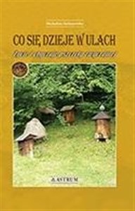 Bild von Co się dzieje w ulach