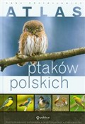 Atlas ptak... - Anna Przybyłowicz - buch auf polnisch 