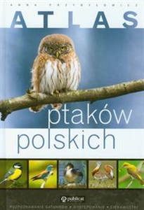 Obrazek Atlas ptaków polskich