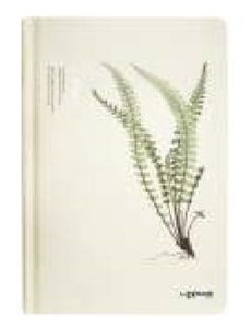 Obrazek Notes A5/96K Paproć Duża