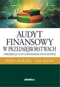 Obrazek Audyt finansowy w przedsiębiorstwach i projekcje ich gospodarki finansowej