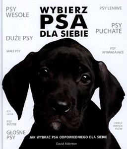 Obrazek Wybierz psa dla siebie Jak wybrać psa odpowiedniego dla siebie