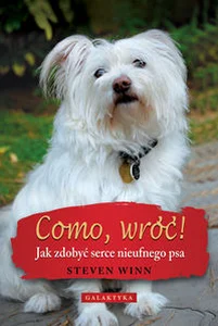 Obrazek Como wróć Jak zdobyć serce nieufnego psa