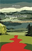Polnische buch : Przedawnie... - Jiri Brezina