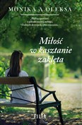 Polska książka : Miłość w k... - Monika A. Oleksa