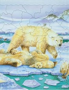 Bild von Niedźwiedź polarny Puzzle