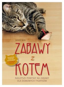 Obrazek Zabawy z kotem Najlepsze pomysły na zabawy dla domowych tygrysów