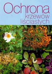 Obrazek Ochrona krzewów liściastych