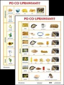 Plansza Po... -  Polnische Buchandlung 