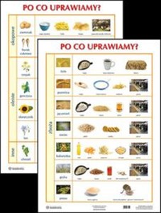 Bild von Plansza Po co uprawiamy?