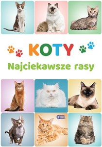 Obrazek Koty. Najciekawsze rasy