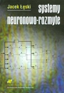 Obrazek Systemy neuronowo-rozmyte