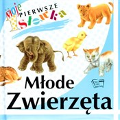 Młode zwie... - Opracowanie Zbiorowe -  polnische Bücher