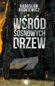 Wśród sosn... - Radosław Budkiewicz -  fremdsprachige bücher polnisch 