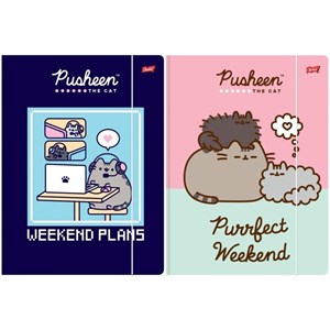 Obrazek Teczka z gumką A4 Pusheen 10 sztuk