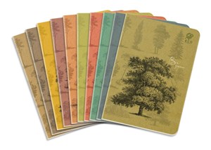 Obrazek Paczka Zeszyt A5 80K kratka By Nature Forrest pakiet 10 sztuk