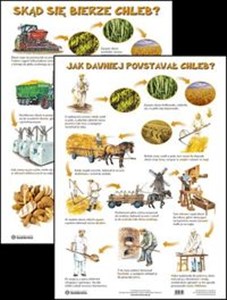 Bild von Plansza Skąd się bierze chleb?