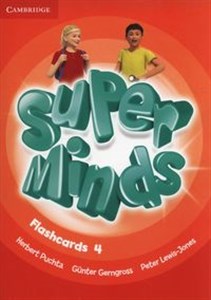 Obrazek Super Minds Flashcards 4 Pack of 89