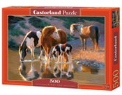 Polnische buch : PuzzleNigh...