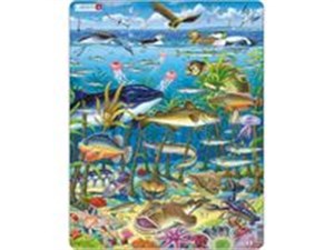 Obrazek Morze Północne