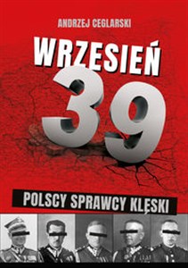 Bild von Wrzesień 1939 Sprawcy polskiej klęski