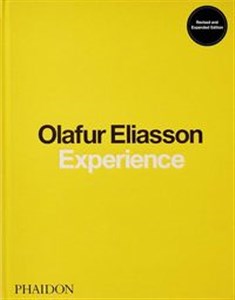 Obrazek Olafur Eliasson Experience